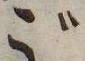 位置 確認된 ご