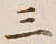字三