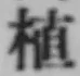 글자 植