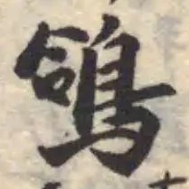 鴿 위치 확인됨