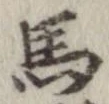 位置定マレル馬