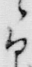 字其