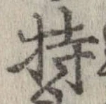 已定位持