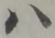 ハ 위치 확인됨