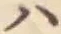 字ハ