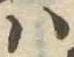 𛂞 위치 확인됨