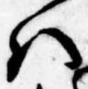 Đã định vị 𛂞