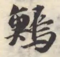 Đã định vị 鰞