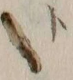 글자 同