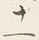 文字十