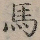 馬 위치 확인됨