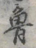 魯 위치 확인됨