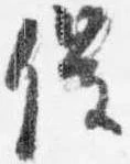 催の位置