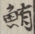 鮪 위치 확인됨