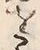 字か