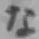 文字な