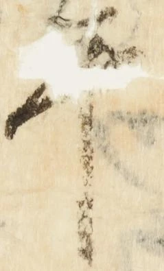 已定位畢
