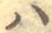 𛂞 위치 확인됨