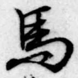 位置定マレル馬
