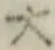 文字大