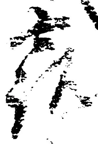 已定位露
