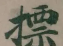 摽の位置