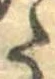 𛁠の位置