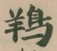 鴹 위치 확인됨