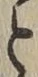 文字と