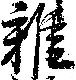 雑の位置