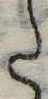 Đã định vị 𛁠