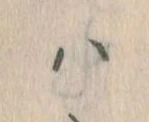 𛂞 위치 확인됨