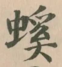螇の位置