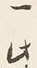 文字一