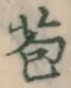 Character 苞