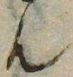 㐌定位𣗓檊
