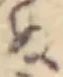 ぬ 위치 확인됨