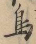 鳥 위치 확인됨