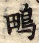 Located 鴫