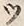 「ツ」字
