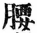 腰 위치 확인됨