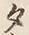 文字 タ