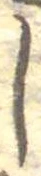 𛁅 위치 확인됨