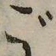位置 確認된 ご