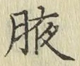 文字腋