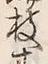 字枝