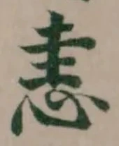 恚の位置