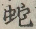 蛇 위치 확인됨