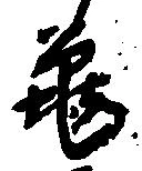 已定位亀