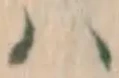 글자 ハ